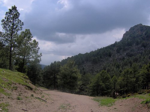 Curso ETLIM de Orientaci�n y Topograf�a II en la Sierra de Hu�tor el 6 y 7 de mayo de 2006 - Foto 109