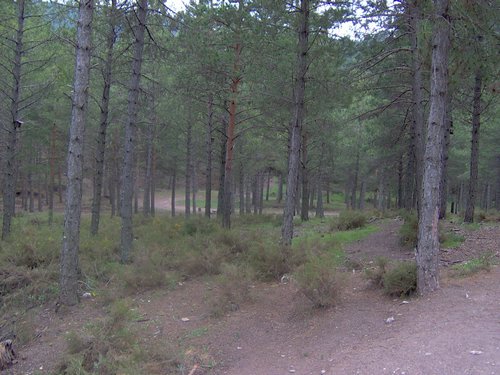 Curso ETLIM de Orientaci�n y Topograf�a II en la Sierra de Hu�tor el 6 y 7 de mayo de 2006 - Foto 116