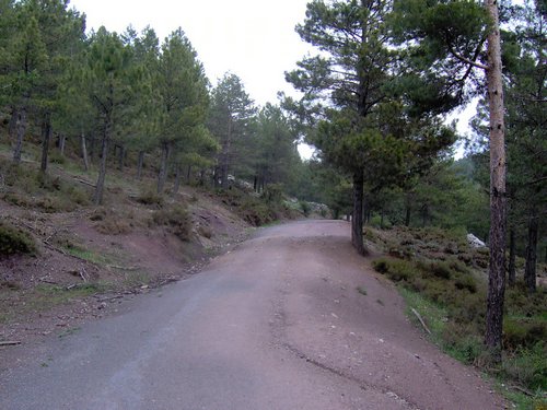 Curso ETLIM de Orientaci�n y Topograf�a II en la Sierra de Hu�tor el 6 y 7 de mayo de 2006 - Foto 117