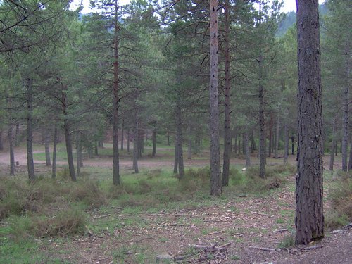 Curso ETLIM de Orientaci�n y Topograf�a II en la Sierra de Hu�tor el 6 y 7 de mayo de 2006 - Foto 119