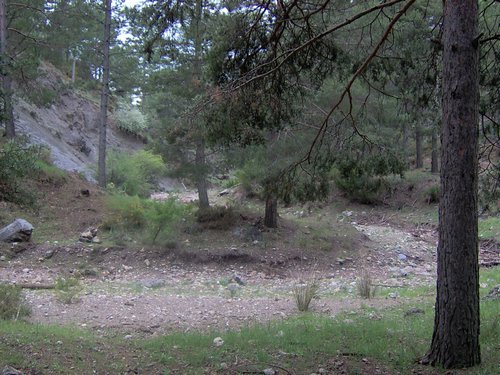 Curso ETLIM de Orientaci�n y Topograf�a II en la Sierra de Hu�tor el 6 y 7 de mayo de 2006 - Foto 123