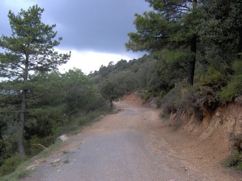 Curso ETLIM de Orientaci�n y Topograf�a II en la Sierra de Hu�tor el 6 y 7 de mayo de 2006 - Foto 125