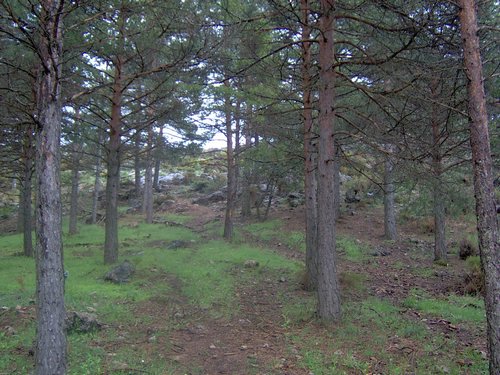 Curso ETLIM de Orientaci�n y Topograf�a II en la Sierra de Hu�tor el 6 y 7 de mayo de 2006 - Foto 134