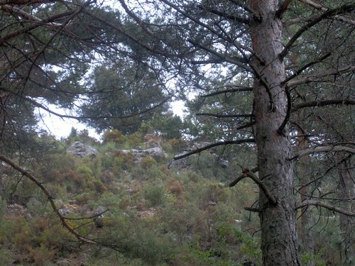 Curso ETLIM de Orientaci�n y Topograf�a II en la Sierra de Hu�tor el 6 y 7 de mayo de 2006 - Foto 136