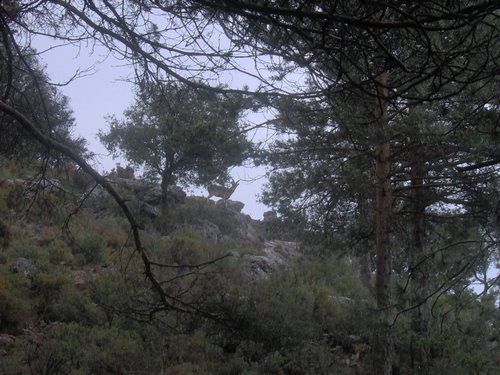Curso ETLIM de Orientaci�n y Topograf�a II en la Sierra de Hu�tor el 6 y 7 de mayo de 2006 - Foto 137