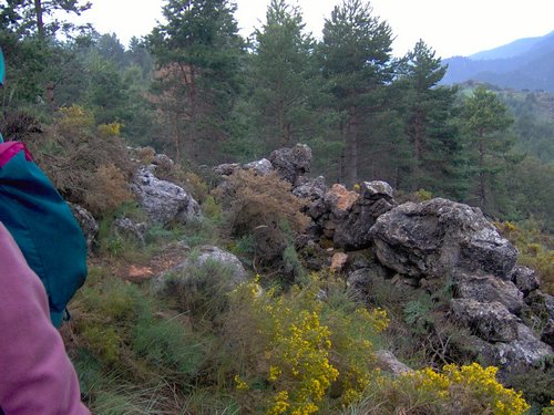 Curso ETLIM de Orientaci�n y Topograf�a II en la Sierra de Hu�tor el 6 y 7 de mayo de 2006 - Foto 141