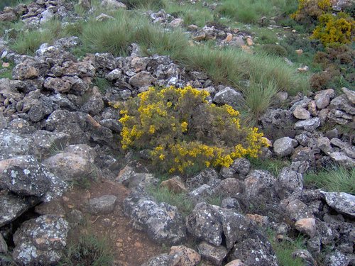 Curso ETLIM de Orientaci�n y Topograf�a II en la Sierra de Hu�tor el 6 y 7 de mayo de 2006 - Foto 144
