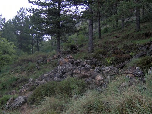 Curso ETLIM de Orientaci�n y Topograf�a II en la Sierra de Hu�tor el 6 y 7 de mayo de 2006 - Foto 147