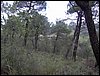 Curso ETLIM de Orientaci�n y Topograf�a II en la Sierra de Hu�tor el 6 y 7 de mayo de 2006