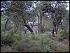 Curso ETLIM de Orientaci�n y Topograf�a II en la Sierra de Hu�tor el 6 y 7 de mayo de 2006