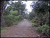 Curso ETLIM de Orientaci�n y Topograf�a II en la Sierra de Hu�tor el 6 y 7 de mayo de 2006
