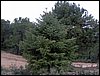Curso ETLIM de Orientaci�n y Topograf�a II en la Sierra de Hu�tor el 6 y 7 de mayo de 2006