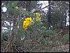 Curso ETLIM de Orientaci�n y Topograf�a II en la Sierra de Hu�tor el 6 y 7 de mayo de 2006