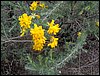 Curso ETLIM de Orientaci�n y Topograf�a II en la Sierra de Hu�tor el 6 y 7 de mayo de 2006