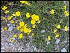 Curso ETLIM de Orientaci�n y Topograf�a II en la Sierra de Hu�tor el 6 y 7 de mayo de 2006