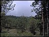 Curso ETLIM de Orientaci�n y Topograf�a II en la Sierra de Hu�tor el 6 y 7 de mayo de 2006