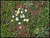 Curso ETLIM de Orientaci�n y Topograf�a II en la Sierra de Hu�tor el 6 y 7 de mayo de 2006