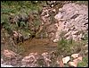 Curso ETLIM de Orientaci�n y Topograf�a II en la Sierra de Hu�tor el 6 y 7 de mayo de 2006