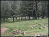 Curso ETLIM de Orientaci�n y Topograf�a II en la Sierra de Hu�tor el 6 y 7 de mayo de 2006