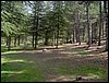 Curso ETLIM de Orientaci�n y Topograf�a II en la Sierra de Hu�tor el 6 y 7 de mayo de 2006