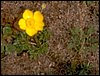 Curso ETLIM de Orientaci�n y Topograf�a II en la Sierra de Hu�tor el 6 y 7 de mayo de 2006