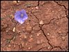 Curso ETLIM de Orientaci�n y Topograf�a II en la Sierra de Hu�tor el 6 y 7 de mayo de 2006