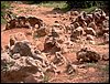 Curso ETLIM de Orientaci�n y Topograf�a II en la Sierra de Hu�tor el 6 y 7 de mayo de 2006