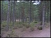 Curso ETLIM de Orientaci�n y Topograf�a II en la Sierra de Hu�tor el 6 y 7 de mayo de 2006