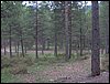 Curso ETLIM de Orientaci�n y Topograf�a II en la Sierra de Hu�tor el 6 y 7 de mayo de 2006