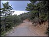 Curso ETLIM de Orientaci�n y Topograf�a II en la Sierra de Hu�tor el 6 y 7 de mayo de 2006