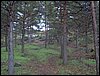 Curso ETLIM de Orientaci�n y Topograf�a II en la Sierra de Hu�tor el 6 y 7 de mayo de 2006