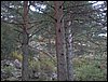 Curso ETLIM de Orientaci�n y Topograf�a II en la Sierra de Hu�tor el 6 y 7 de mayo de 2006