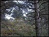 Curso ETLIM de Orientaci�n y Topograf�a II en la Sierra de Hu�tor el 6 y 7 de mayo de 2006