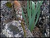 Curso ETLIM de Orientaci�n y Topograf�a II en la Sierra de Hu�tor el 6 y 7 de mayo de 2006