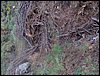 Curso ETLIM de Orientaci�n y Topograf�a II en la Sierra de Hu�tor el 6 y 7 de mayo de 2006