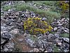 Curso ETLIM de Orientaci�n y Topograf�a II en la Sierra de Hu�tor el 6 y 7 de mayo de 2006