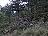 Curso ETLIM de Orientaci�n y Topograf�a II en la Sierra de Hu�tor el 6 y 7 de mayo de 2006