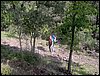 Curso ETLIM de Orientaci�n y Topograf�a II en la Sierra de Hu�tor el 6 y 7 de mayo de 2006
