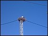 Curso ETLIM. B�sico de Rovers en Campano. (C�diz) del 7 al 10 de diciembre de 2006