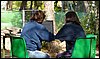 Preparaci�n Programaci�n - Bermejales. 19 de septiembre de 2009