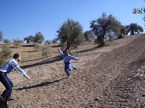 P2190139.JPG