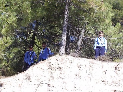 P2190151.JPG