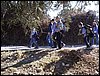 P2190129.JPG