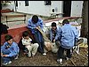 P3120320.JPG