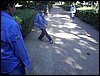 Excursi�n al Charc�n y la Vereda de la Estrella - 14 de mayo de 2005