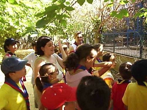Cacera 2005 - Viaje a Sevilla y al Zoo de Carmona - 4 de junio de 2005 - Foto 57