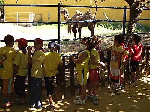 Cacera 2005 - Viaje a Sevilla y al Zoo de Carmona - 4 de junio de 2005 - Foto 60