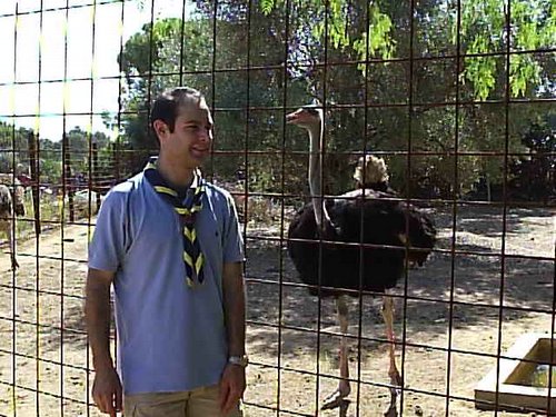 Cacera 2005 - Viaje a Sevilla y al Zoo de Carmona - 4 de junio de 2005 - Foto 65