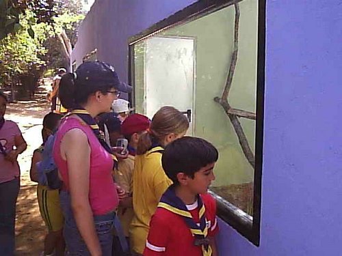 Cacera 2005 - Viaje a Sevilla y al Zoo de Carmona - 4 de junio de 2005 - Foto 70