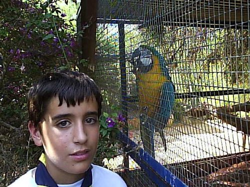 Cacera 2005 - Viaje a Sevilla y al Zoo de Carmona - 4 de junio de 2005 - Foto 71